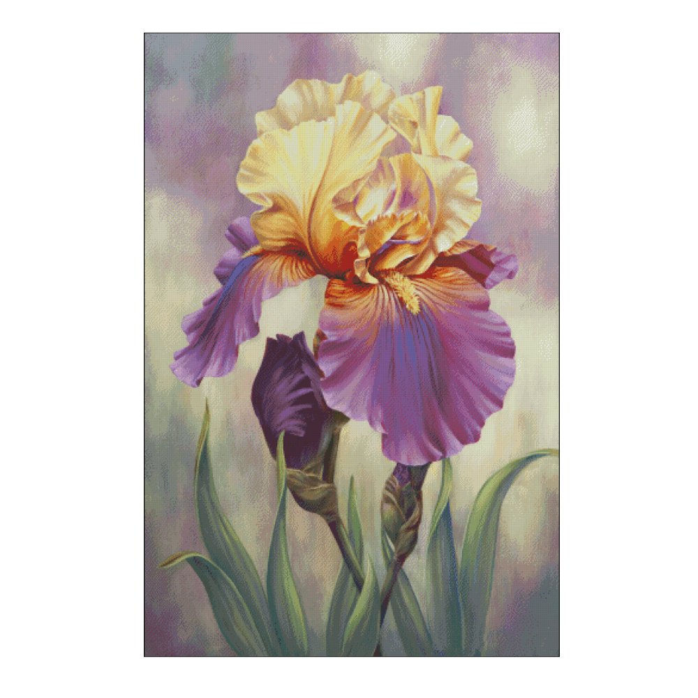 Iris ofertas en punto de cruz